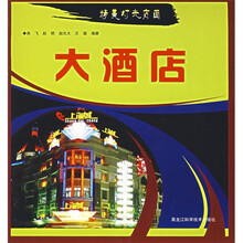 精美灯光店面：大酒店