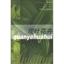 观叶花卉