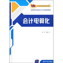 工作过程导向新理念规划教材·高职高专财务会计专业精编教材：会计电算化