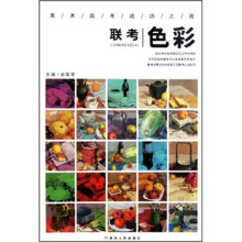 美术高考成功之路：联考色彩