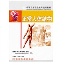 正常人体结构
