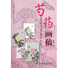 工笔画白描教学示范：芍药画稿