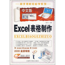 中文版Excel表格制作