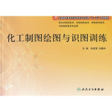 化工制图绘图与识图训练