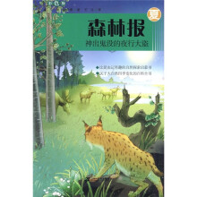森林报·神出鬼没的夜行大盗:夏(彩色版)