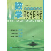 数学同步分层导学（高中１年级）
