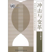 冲击与变革:对外开放中的中国公民社会组织