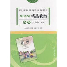新课标精品教案数学(6年级)(下册)