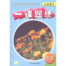 义教课程标准实验教材·一课四练：语文（9年级下·R）
