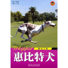 世界名犬：惠比特犬（离弦之箭）