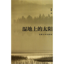 湿地上的太阳