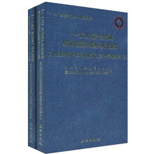 古建筑保护技术及传统工艺科学化研究（全2册）