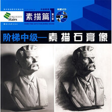 美术基础教学阶梯训练·阶梯中级:素描石膏像(素描篇)(附光盘)