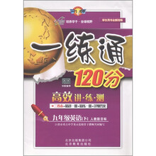 一练通120分·高效讲·练·测:9年级英语(下)(人教新目标)(学生用书全新改版)
