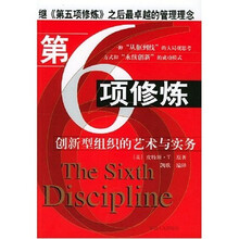 第六项修炼：创新型组织的艺术与实务
