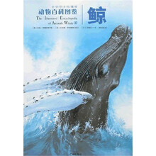 动物百科图鉴：鲸