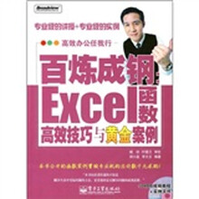 百炼成钢：Excel函数高效技巧与黄金案例（附光盘1张）