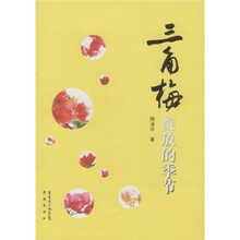 三角梅绽放的季节