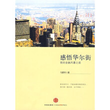 感悟华尔街:我的金融风暴之旅