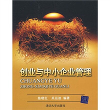 21世纪经济管理核心课教材：创业与中小企业管理