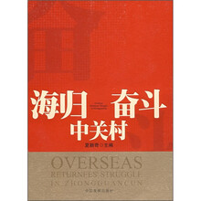 海归奋斗中关村