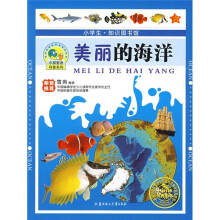 美丽的海洋