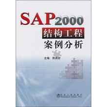 SAP2000结构工程案例分析