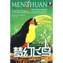 梦幻飞鸟