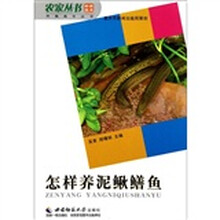 怎样养泥鳅鳝鱼