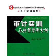 审计实训与典型案例分析