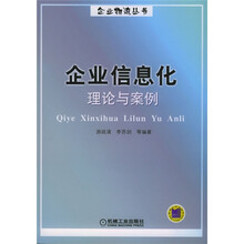 企业信息化理论与案例