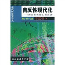 自反性现代化:现代社会秩序中的政治传统与美学
