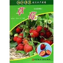 草莓