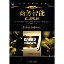 计算机科学丛书·商务智能：管理视角（原书第2版）
