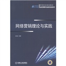 高等院校规划教材·信息管理与信息系统系列:网络营销理论与实践