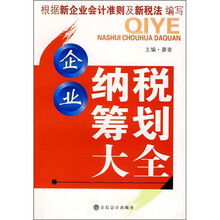 企业纳税筹划大全