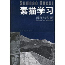 素描学习：再现与表现