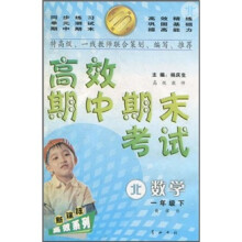 高效期中期末考试：数学（1年级下）（新课标·北）