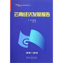 云南经济发展报告（2010-2011）