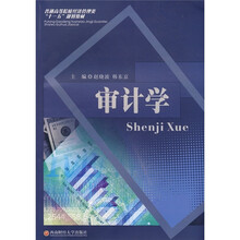 普通高等院校经济管理类“十一五”规划教材：审计学