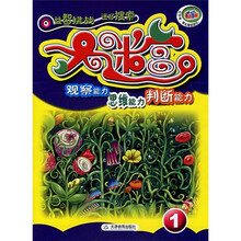 益智挑战迷宫搜索:大迷宫(共4册)