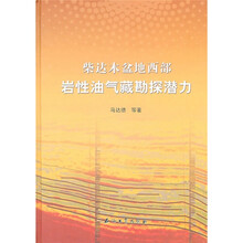 柴达木盆地西部岩性油气藏勘探潜力