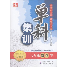 单科集训：7年级数学（下）（人教版）