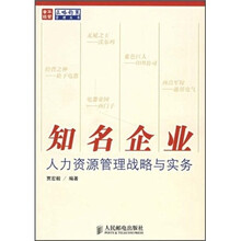 知名企业人力资源管理战略与实务