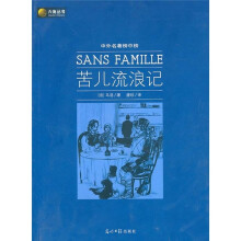 六角丛书·中外名著榜中榜：苦儿流浪记