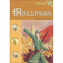 小学生课外快乐阅读：钢铁是怎样炼成的（新课标）