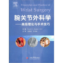 腕关节外科学:高级理论与手术技巧