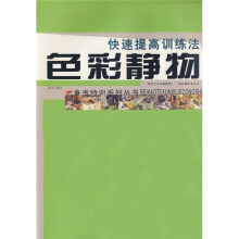 色彩静物