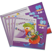 幼儿园建构式课程：大班（下）（套装共5册）