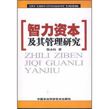 智力资本及其管理研究